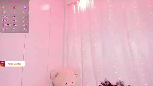 Alice_winter_ webcam