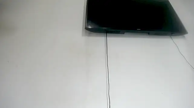 Fox_Loves webcam