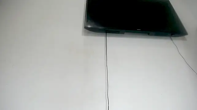 Fox_Loves webcam