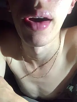 MiroKari2 webcam