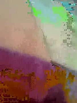 OpposedLoom webcam