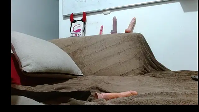 LITACAM webcam