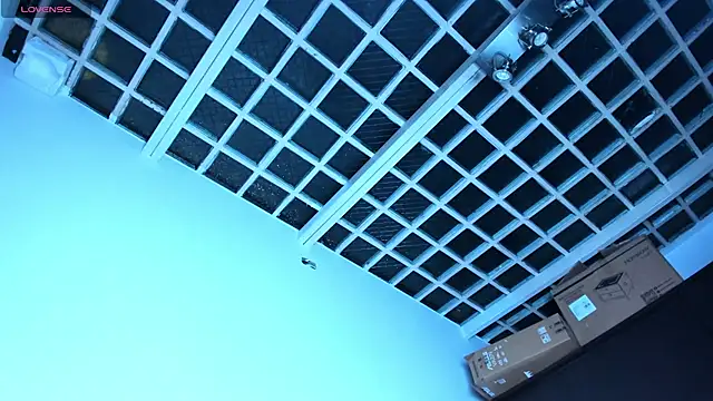 Fox-white webcam
