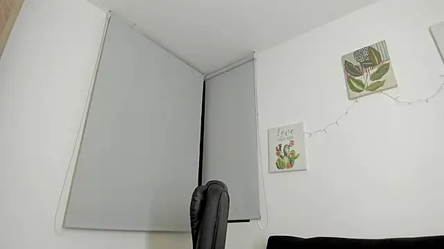 barbie_ds webcam