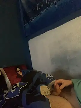 GeilerHSVFAN1989 webcam
