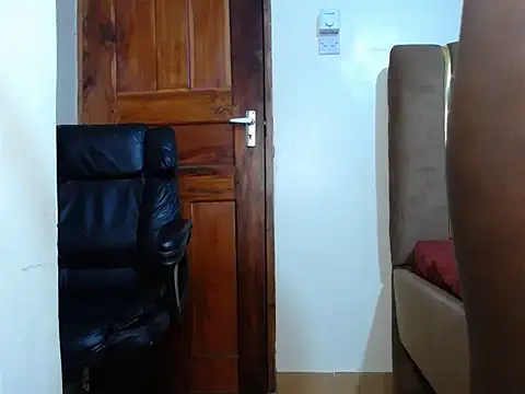 Brann_die webcam