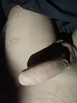 Gavii2026 webcam