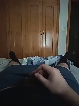 arthin webcam