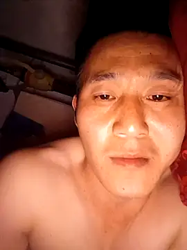 wadmma webcam