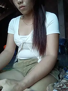 Havana- webcam