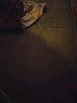 TonyPitoloko webcam