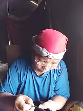 tran-trang webcam
