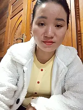 Td3di webcam