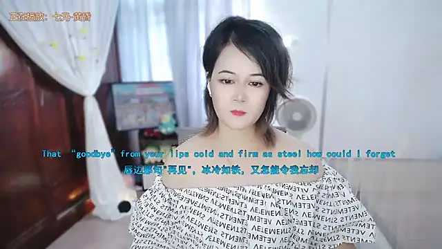Fan_ting webcam