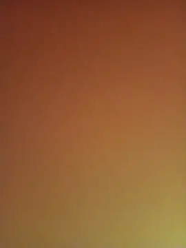 pretolindo2025 webcam