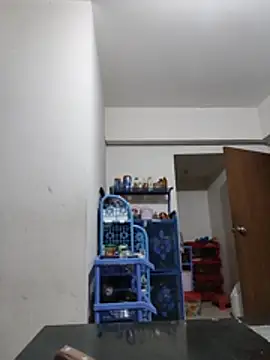 Pinky-2 webcam