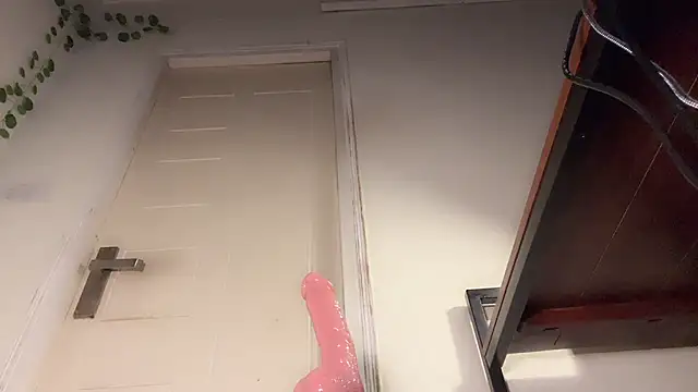 AliceFox13 live