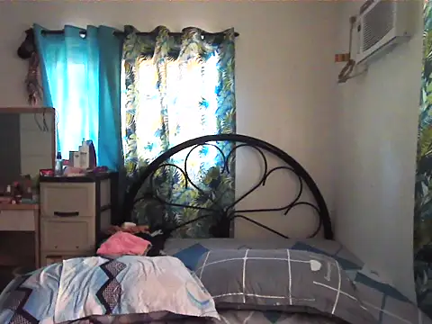 Pem08 webcam