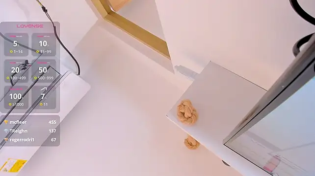 NOVACY-SANTOS webcam