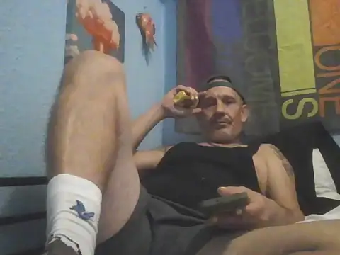 halfwayhausGUY webcam