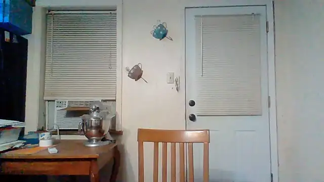 patinachevy3 webcam
