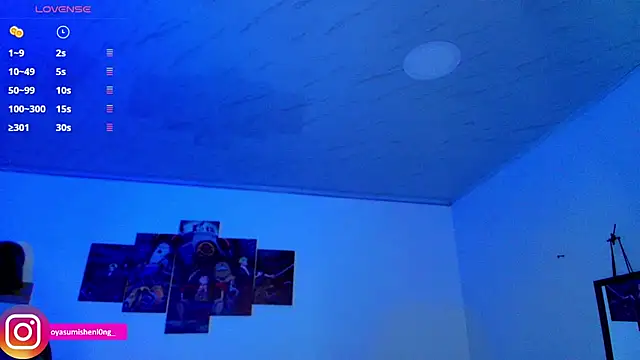 Nicorobinn webcam