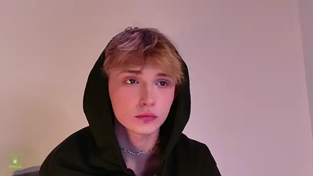 Your_avatar webcam