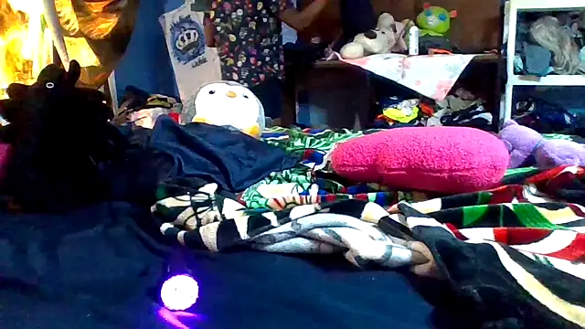 Dicksee_Left webcam