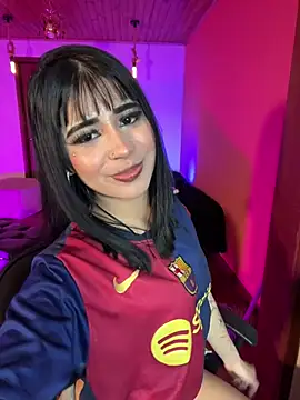 -Brittanny webcam