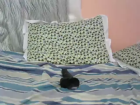 Holipot77 webcam
