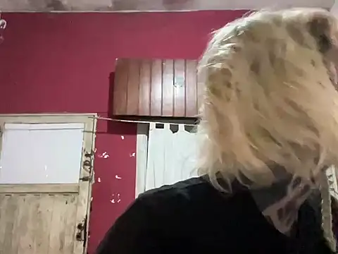 cybernoia webcam