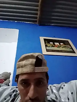 Vergadoblada webcam