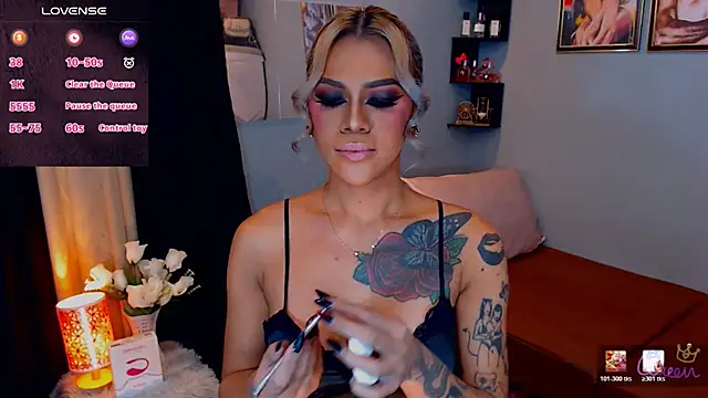 StellaStrong30 webcam