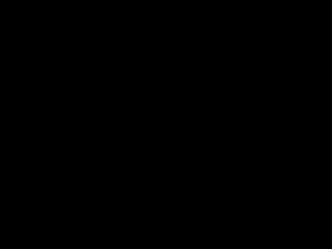 crazy4coco webcam