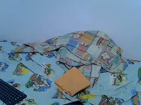 playfullnova webcam