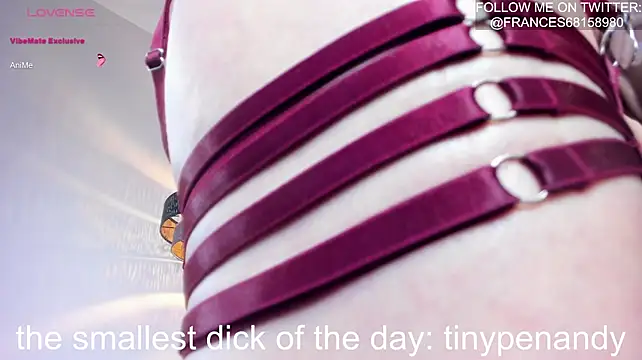 FrancesYork webcam