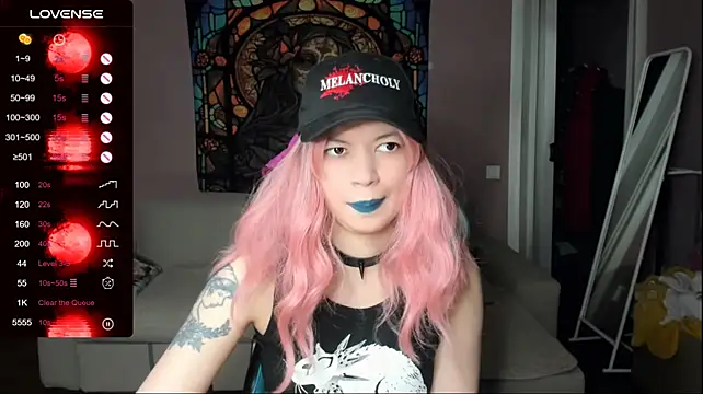 Project_hisoka webcam