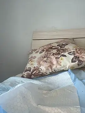 wen1234 webcam