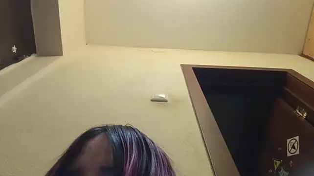IronicBuckle webcam