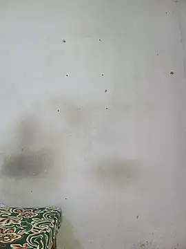 Blossoms672 webcam