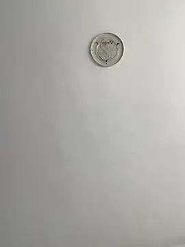 LovenseAngel webcam
