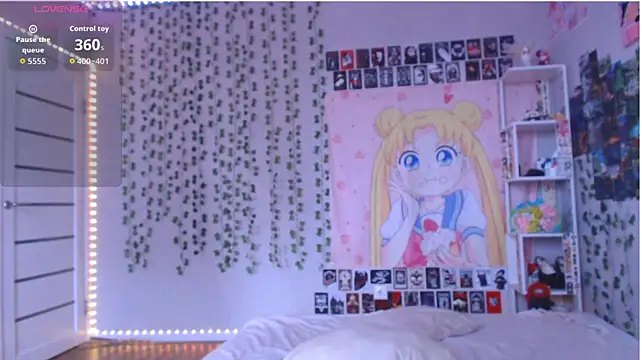 lilidim webcam