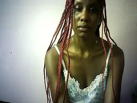 DelteAfriq webcam