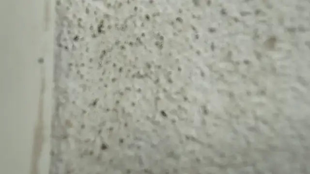 Lauda-aa webcam