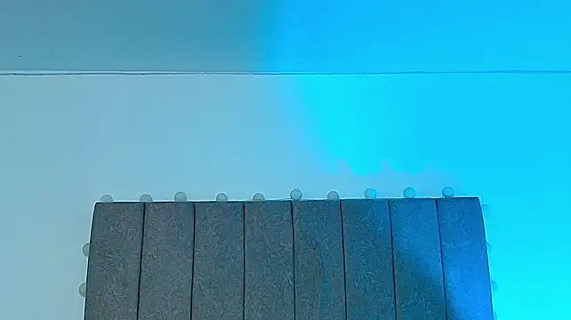 Adonys_Lewis_ webcam