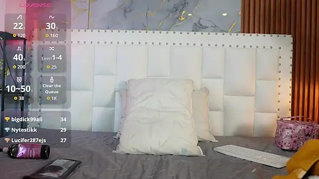 QuickHookupp webcam