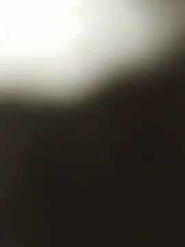 NightKong webcam
