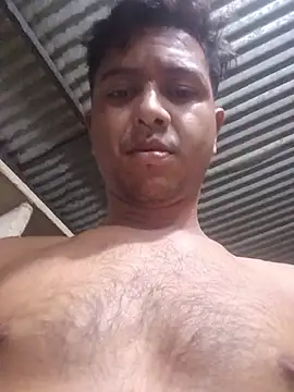Gato_hot77