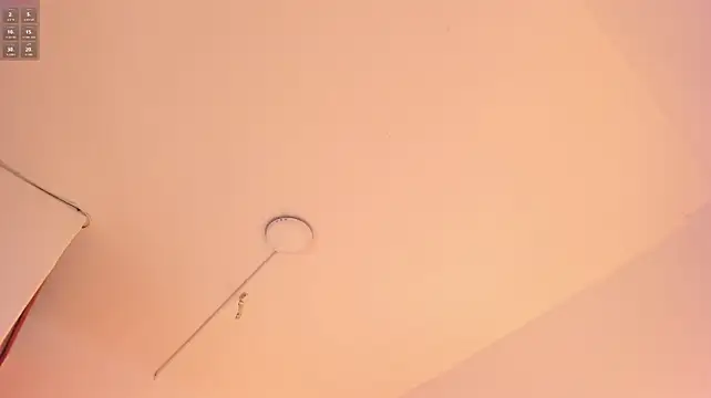 SofiaBosch webcam