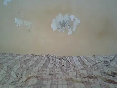 hotcum256xx webcam